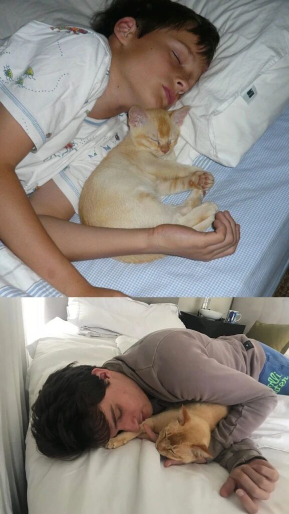 Boy Recreates Childhood Photo With His Cat Years Later — One Detail ...