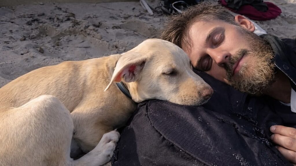 Injured Dog Refused to Leave Unconscious Man—What Happened Hours Later ...