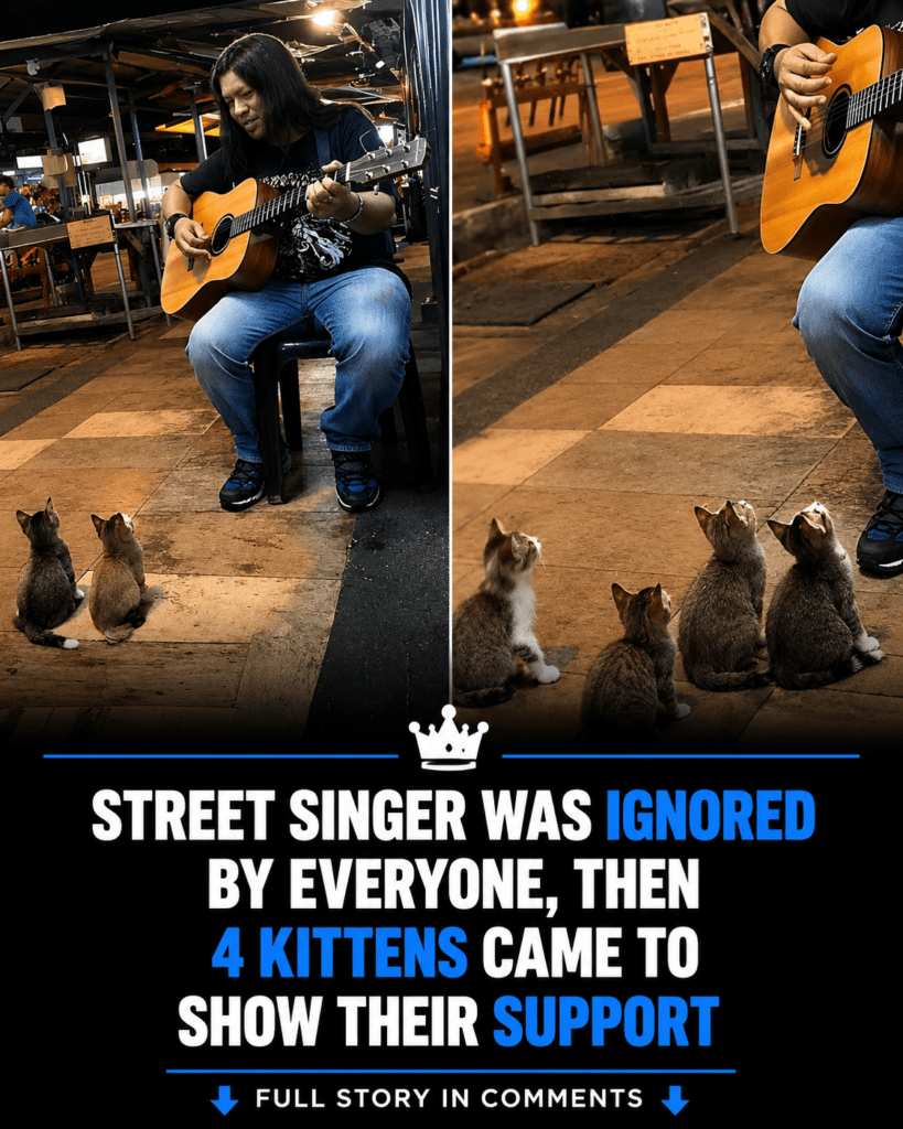 Street Singer Ignored by Everyone Gets Heartwarming Support from 4 ...