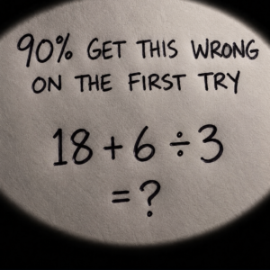 18 Plus 6 Divided by 3 Math Puzzle