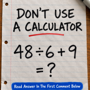 48 Divided by 6 Plus 9 Math Puzzle