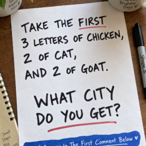 Take first 3 letters of chicken 2 of cat and 2 of goat city puzzle