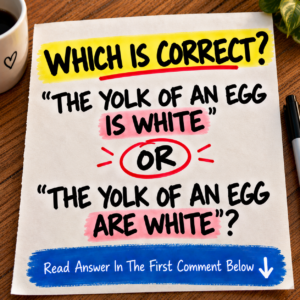 Which is correct the yolk of an egg is white or are white riddle