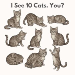 How Many Cats Can You See? Hidden Cat Puzzle