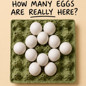 How Many Eggs Are Really Here Puzzle