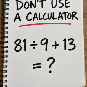 81 ÷ 9 + 13 Math Puzzle