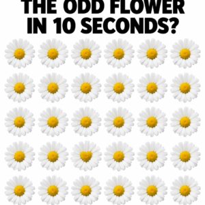 Odd flower visual puzzle