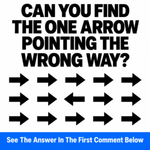 Odd arrow visual puzzle