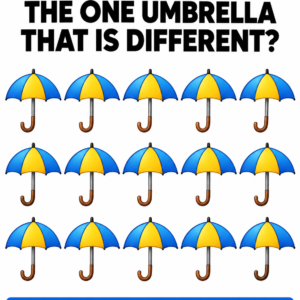 Odd umbrella visual puzzle