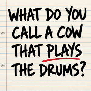 Cow That Plays Drums Riddle