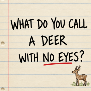 What do you call a deer with no eyes riddle
