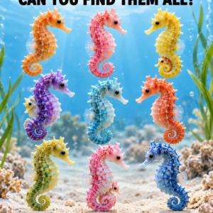 Find 12 baby seahorses puzzle