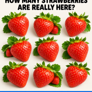 Hidden Strawberries Counting Puzzle