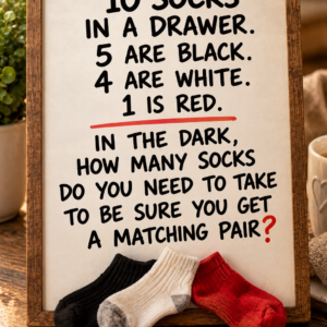 Sock Matching Pair Riddle