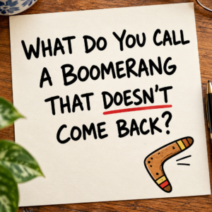 What Do You Call a Boomerang That Doesn't Come Back?