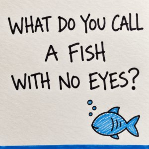 What Do You Call a Fish With No Eyes?