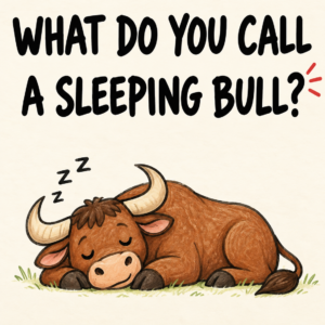 Sleeping bull riddle