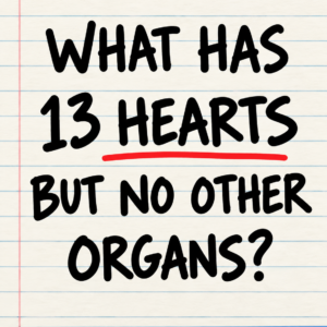 Handwritten riddle about 13 hearts and no other organs