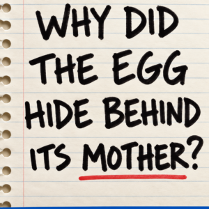 Why did the egg hide behind its mother riddle